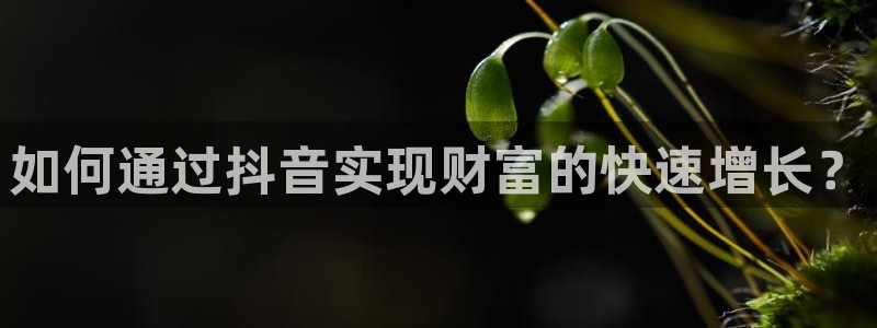 黑料网红：如何通过抖音实现财富的快速增长