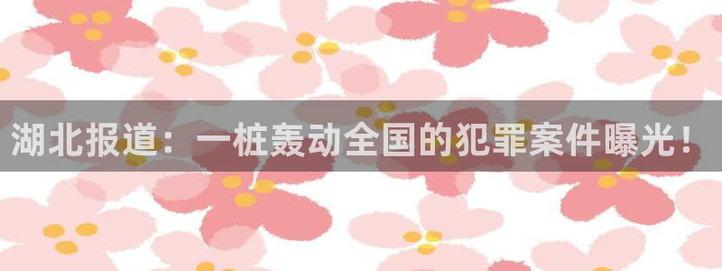 吃瓜网黑料不打烊：湖北报道：一桩轰动全国