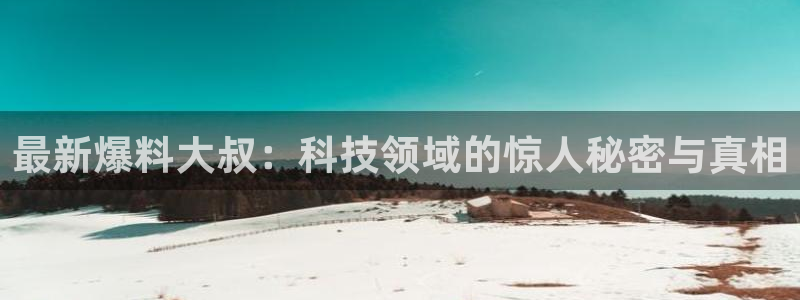 黑料不打烊永久网址：最新爆料大叔：科技领